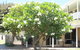 Kalbarri Riverfront Unit - thumb 6