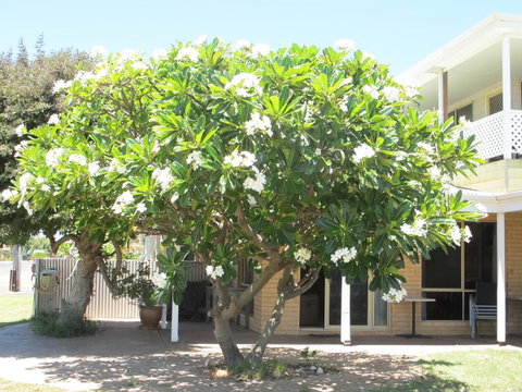 Kalbarri Riverfront Unit - Accommodation Fremantle 6