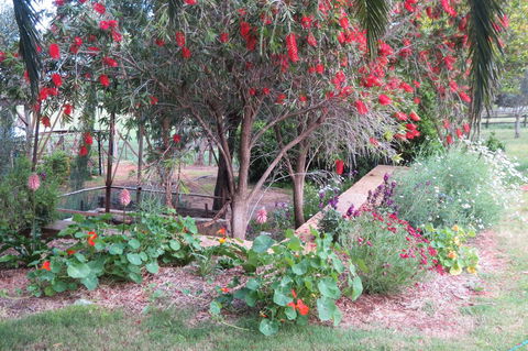 Bentwood Olive Grove Accommodation - Accommodation Fremantle 21