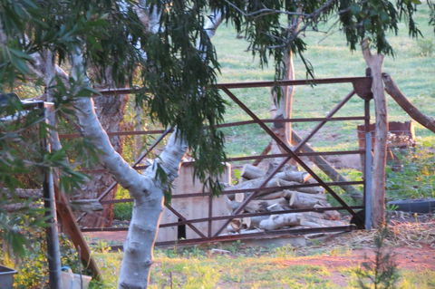 Bentwood Olive Grove Accommodation - Accommodation Fremantle 25