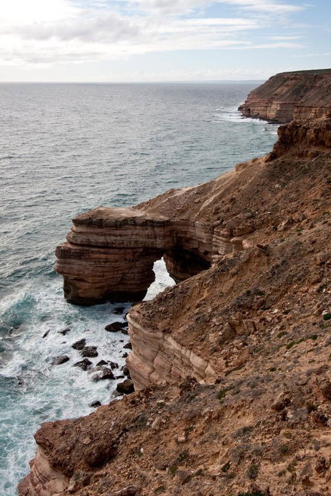 Kalbarri Palm Resort - Accommodation Fremantle 32