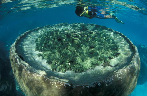 Sal Salis Ningaloo Reef - Accommodation Fremantle 8