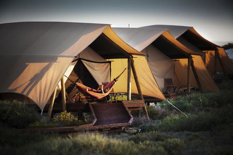 Sal Salis Ningaloo Reef - Accommodation Fremantle 23