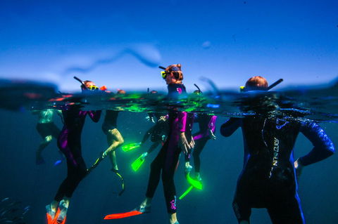 Sal Salis Ningaloo Reef - Accommodation Fremantle 26