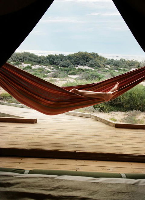 Sal Salis Ningaloo Reef - Accommodation Fremantle 35