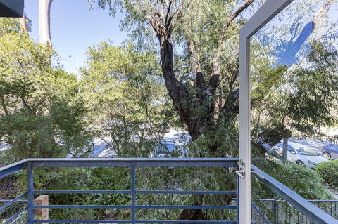Cottesloe Tree Top Studio - Executive Escapes - Accommodation Fremantle 10