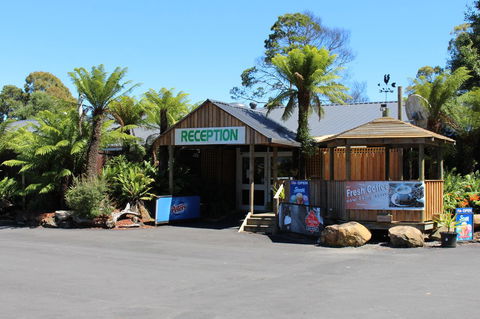 Tullah Lakeside Lodge - Accommodation Fremantle 5