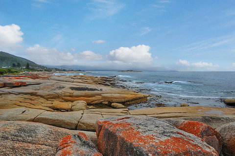 Harvey Farm Lodge - Accommodation Fremantle 2