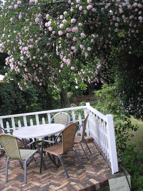 Anabel\'s Of Scottsdale - Accommodation Fremantle 33