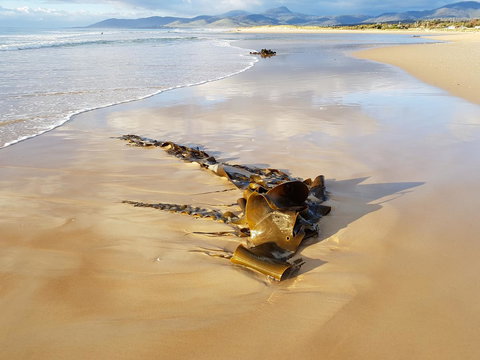 Blue Seas Holiday Villas - Accommodation Fremantle 11