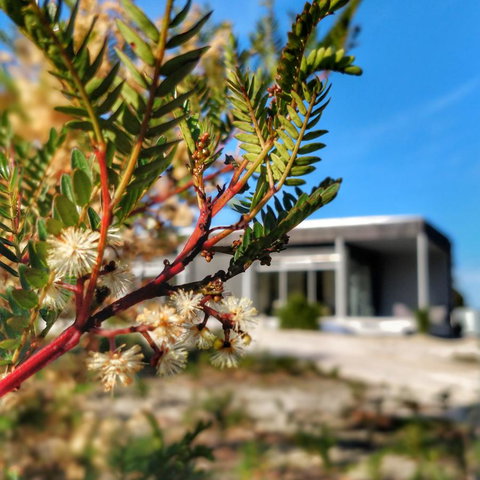 Aplite House - Accommodation Fremantle 36