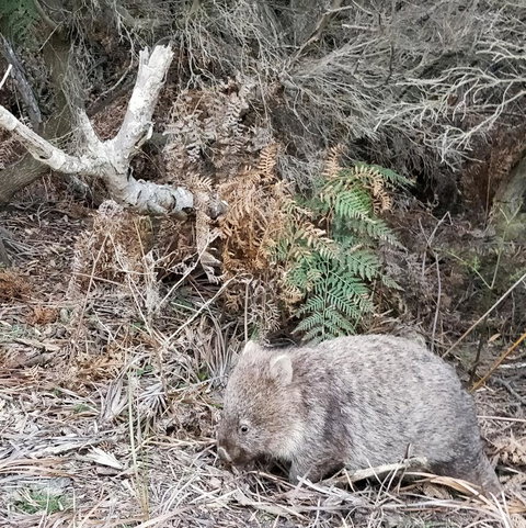 Aplite House - Accommodation Fremantle 35