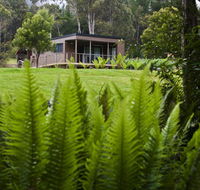 Tyenna River Cottage - Accommodation Fremantle