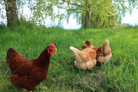 Cherry Top Farmstay - Boutique Eco Village - Accommodation Fremantle 8