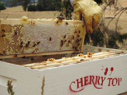 Cherry Top Farmstay - Boutique Eco Village - Accommodation Fremantle 28