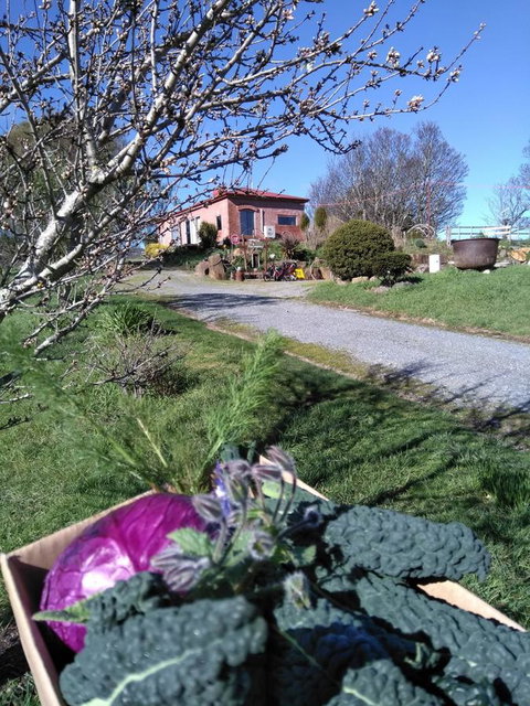 Cherry Top Farmstay - Boutique Eco Village - Accommodation Fremantle 23