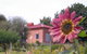 Cherry Top Farmstay - Boutique Eco Village - thumb 27