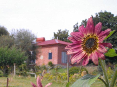 Cherry Top Farmstay - Boutique Eco Village - Accommodation Fremantle 27