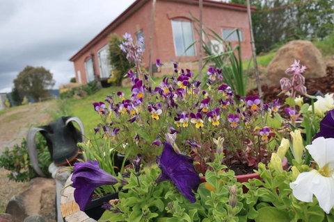 Cherry Top Farmstay - Boutique Eco Village - Accommodation Fremantle 7