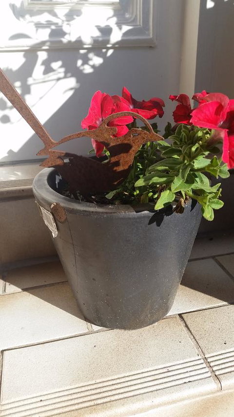 Driftwood-Cottage - Accommodation Fremantle 36