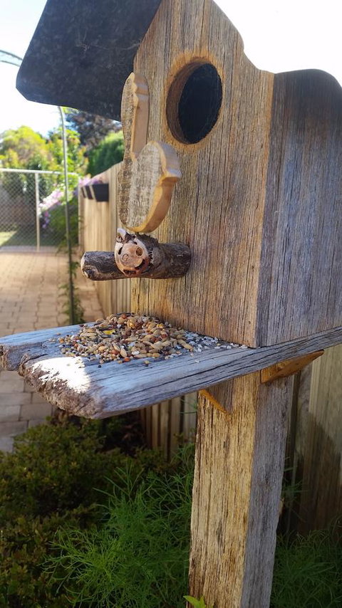 Driftwood-Cottage - Accommodation Fremantle 29