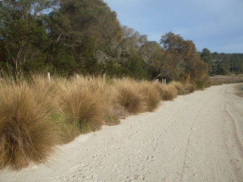 Pipe Clay Cottage - Accommodation Fremantle 38
