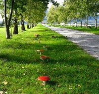 Plovers Ridge Country Retreat - Accommodation Fremantle