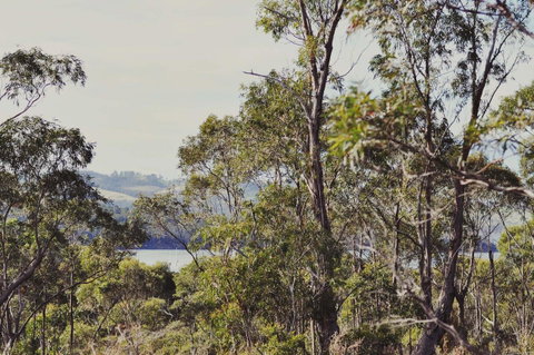 Oyster Cove Chalet - Accommodation Fremantle 17