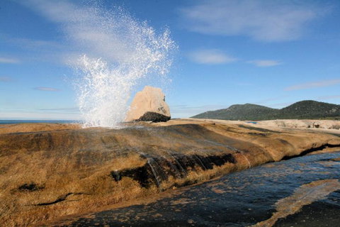 Suntrap Cove Bicheno - Accommodation Fremantle 30