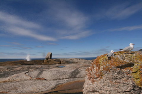 Suntrap Cove Bicheno - Accommodation Fremantle 37