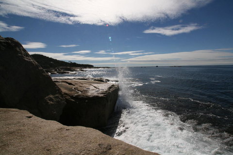 Suntrap Cove Bicheno - Accommodation Fremantle 40