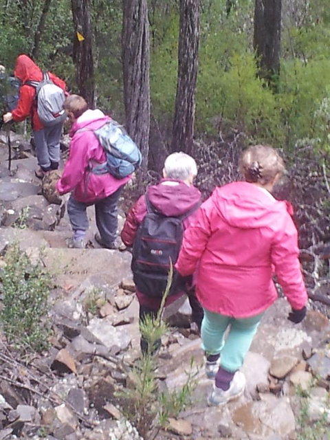 Suntrap Cove Bicheno - Accommodation Fremantle 2