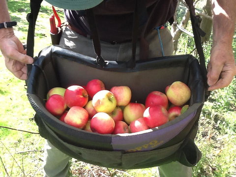 Eureka Farm - Accommodation Fremantle 24