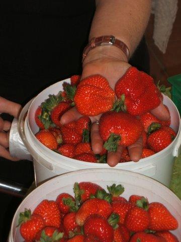 Eureka Farm - Accommodation Fremantle 17