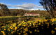 Mountain Blue Guest House - thumb 3