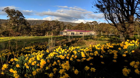 Mountain Blue Guest House - Accommodation Fremantle 3