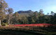 Mountain Blue Guest House - thumb 23