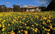 Mountain Blue Guest House - thumb 0