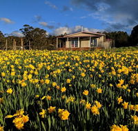 Mountain Blue Guest House - Accommodation Fremantle