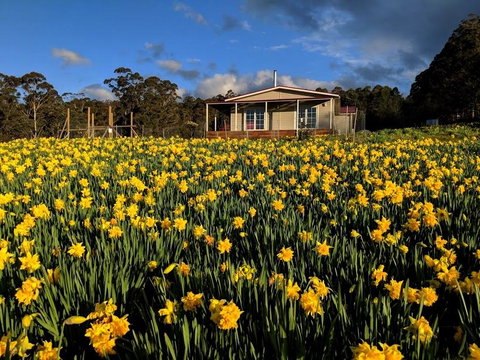 Mountain Blue Guest House - Accommodation Fremantle 0
