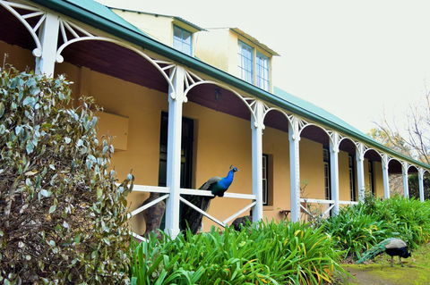 Cleburne Homestead - Accommodation Fremantle 29