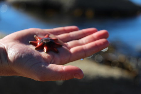 Blu-Sea 365 - Accommodation Fremantle 26