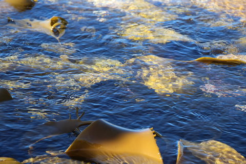 Blu-Sea 365 - Accommodation Fremantle 28