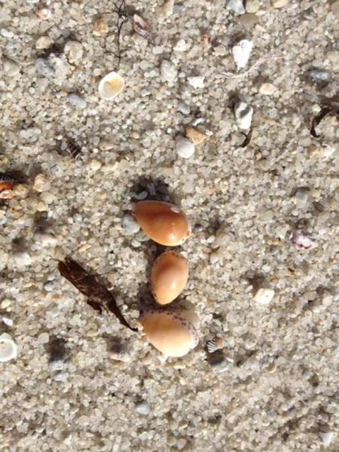 Blu-Sea 365 - Accommodation Fremantle 27