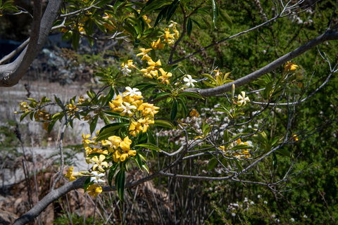 Blu-Sea 365 - Accommodation Fremantle 8