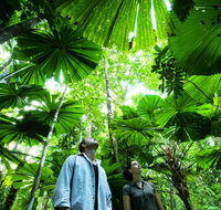 NRMA Cairns Holiday Park - Accommodation Fremantle