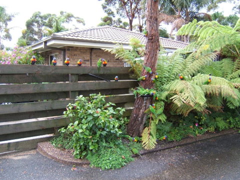 Ocean Drive Apartments - Accommodation Fremantle 3