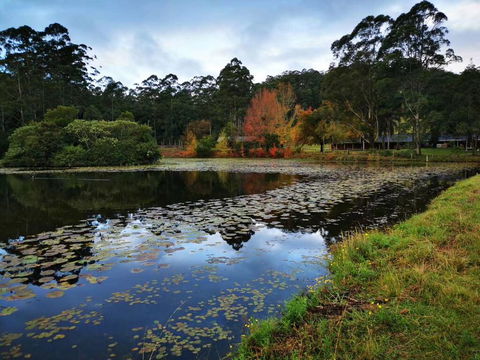 OCT Forest Lodge - Accommodation Fremantle 2