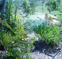 Old Miners' Cottages Bed and Breakfast - Accommodation Fremantle