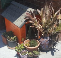 Orange Grove Hotel - Accommodation Fremantle